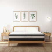 Osteopedic Euro Top Mattress Pocket Spring Medium EuroTop Hybrid Design Bed