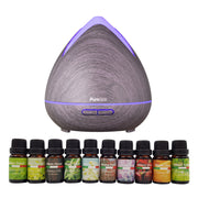 Purespa Diffuser Set With 10 Pack Diffuser Oils Humidifier Aromatherapy